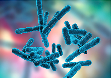This bacteria, which turns PET waste bottles into adipic acid, has a 79% conversion rate